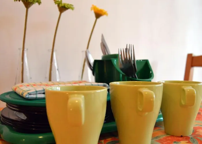 Goscinne Arnika Gorska