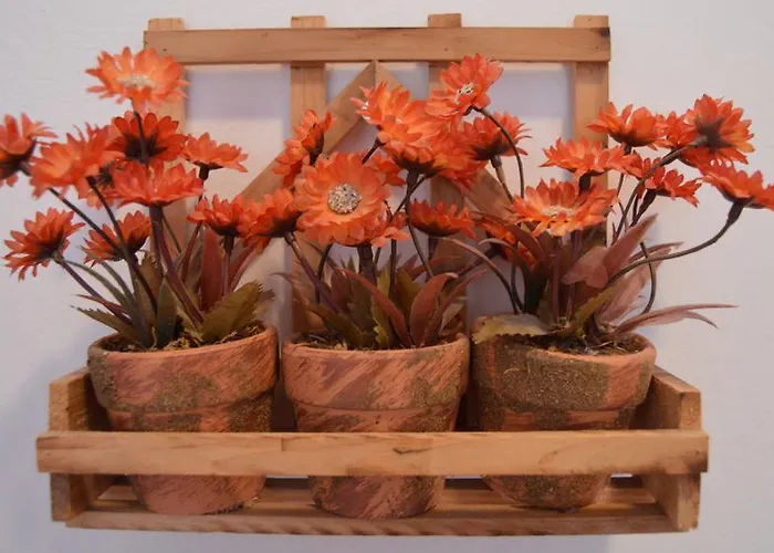 Goscinne Arnika Gorska Homestay szállás *