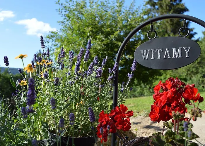 Goscinne Arnika Gorska *