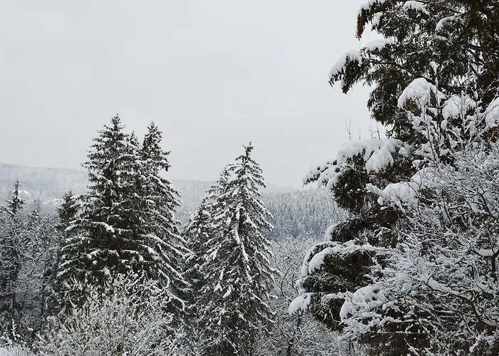 Homestay szállás Goscinne Arnika Gorska *