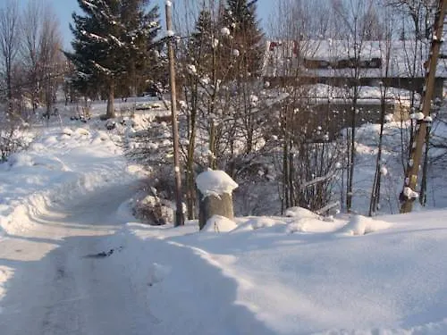 Goscinne Arnika Gorska *