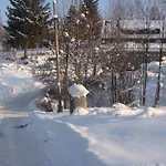 Goscinne Arnika Gorska *
