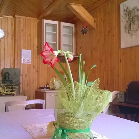 Rum i privatbostad Goscinne Arnika Gorska