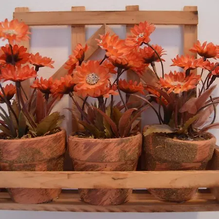 Goscinne Arnika Gorska Rum i privatbostad *