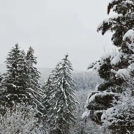 Rum i privatbostad Goscinne Arnika Gorska *