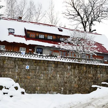 Goscinne Arnika Gorska * Szklarska Poręba