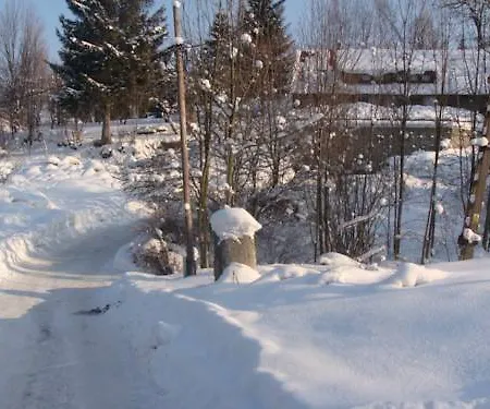 Goscinne Arnika Gorska *