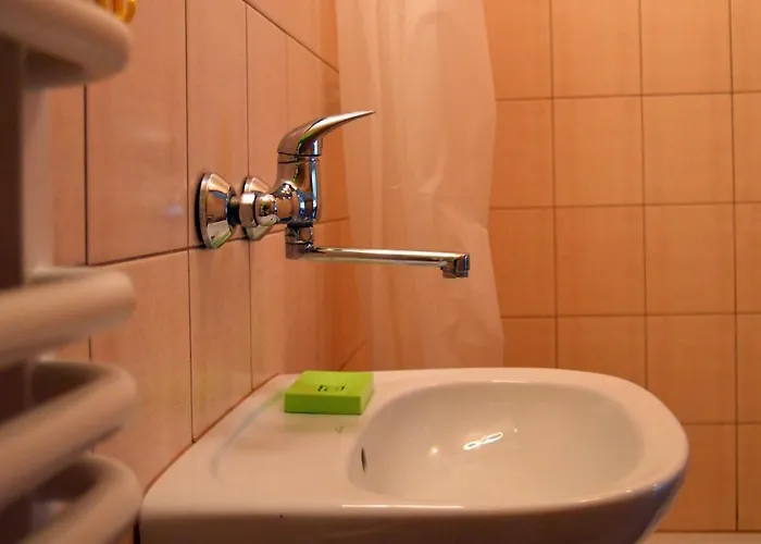 Goscinne Arnika Gorska * Szklarska Poręba