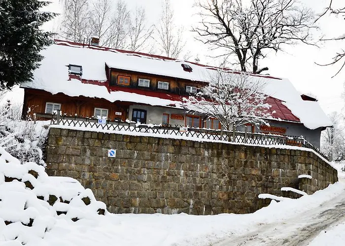 Goscinne Arnika Gorska * Szklarska Poręba